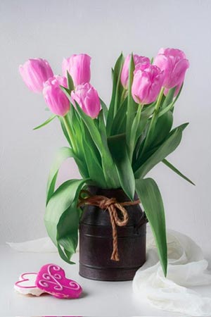 photo of pink tulips in a vase