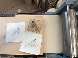 a photo showing a small tabletop printing press with three small edition prints of birds