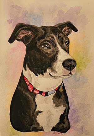 a watercolor of a dog on a multi-colored background