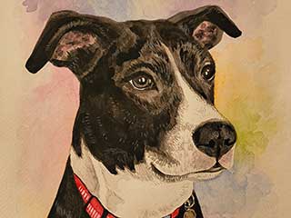 a watercolor painting of a dog's head done by the teacher of our next watercolor class