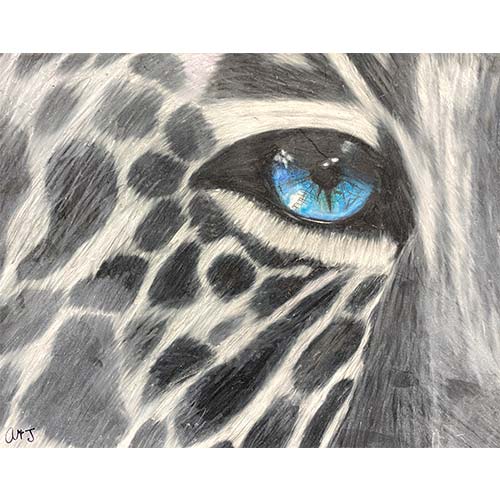 Oswego County Art Show winner 2022