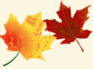 a watercolor painting of two fall leaves in bright gold, orange, and red