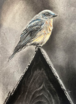 artwork of a bird perched on a bird house created by our juror, Claire Ames